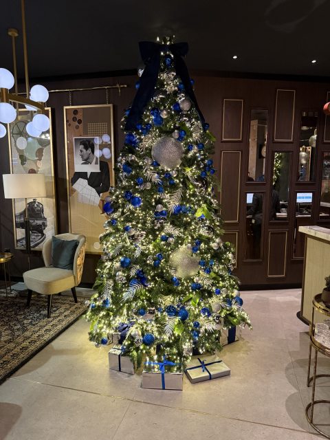 Christmas Tree at the Banksia